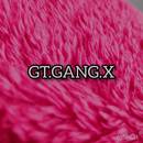 GT_GANG_X
