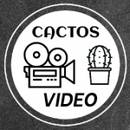cactos • video
