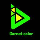 Garnet color animation studio