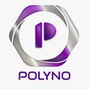 polynoir