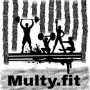 Multy_fit
