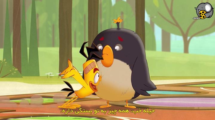 انیمیشن پرندگان خشمگین جنون تابستانی